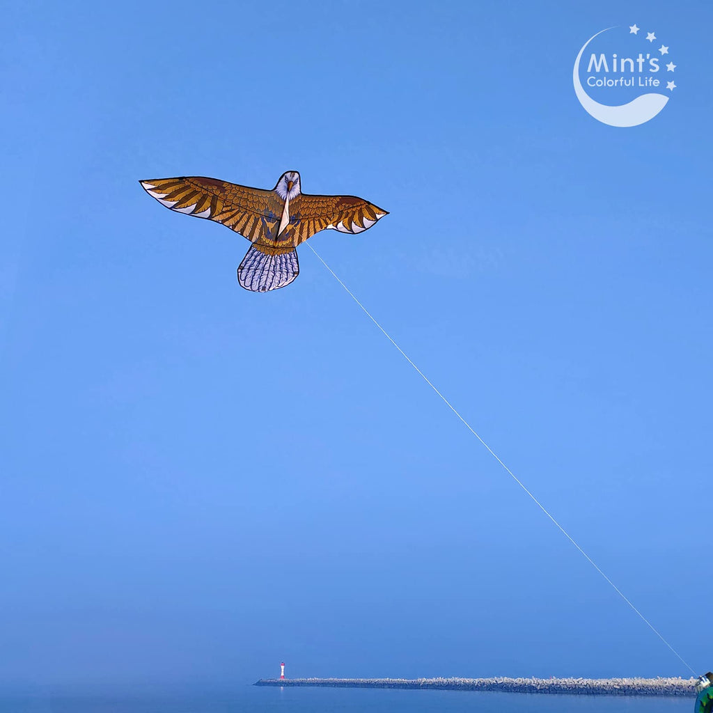 Bald Eagle Kite with 60-Inch Wingspan – Easy to Fly for Adults and Kids, Single Line Nylon Kite for Beach and Park