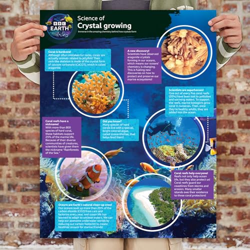 BBC Earth Crystal Aquarium: Colorful Crystal Growing Kit for Kids Ages 6+