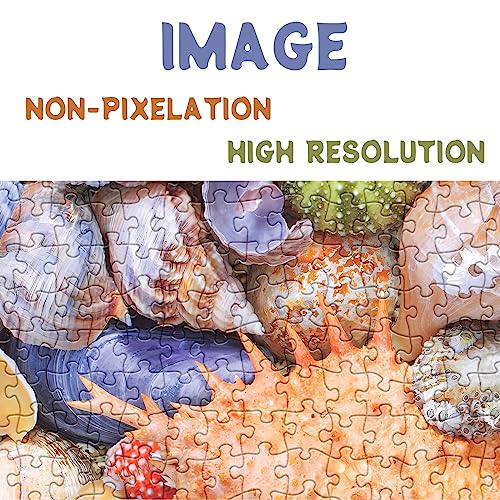 BBOLDIN Colorful Seashell 1000 Piece Puzzle – Ocean Beach Jigsaw for Adults, Marine Hawaii Theme