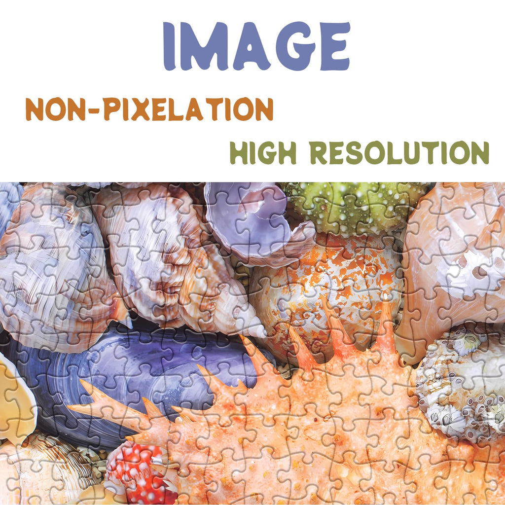 BBOLDIN Colorful Seashell 1000 Piece Puzzle – Ocean Beach Jigsaw for Adults, Marine Hawaii Theme