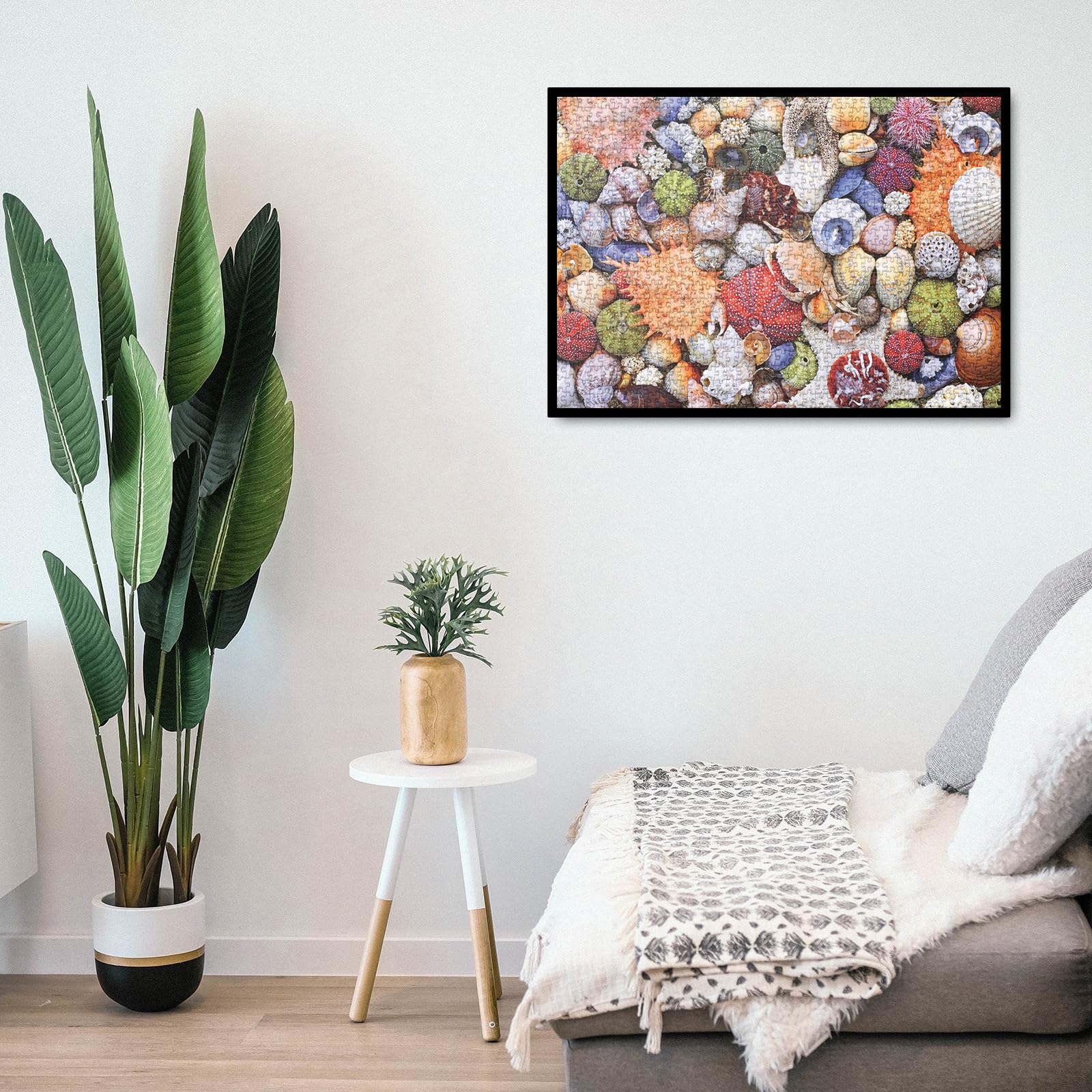 BBOLDIN Colorful Seashell 1000 Piece Puzzle – Ocean Beach Jigsaw for Adults, Marine Hawaii Theme