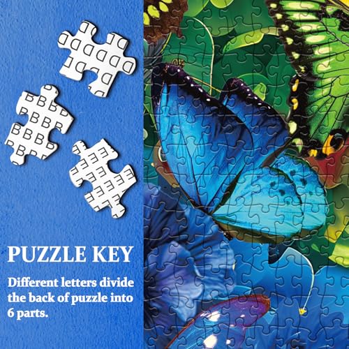 BBOLDIN Rainbow Flower Butterfly Puzzle 1000 Pieces for Adults – Colorful Garden Floral Jigsaw