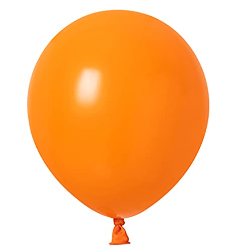 Beaumode Tropical Luau Balloon Garland Arch Kit – Rose Orange Blush, 144 Balloons for Hawaiian Party Decor