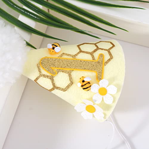 Bee 1st Birthday Cone Hat with Photo Props for Baby's First Birthday Party