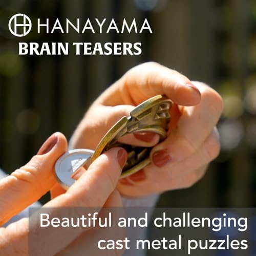 BePuzzled Equa Hanayama Metal Brain Teaser – Mensa Rated Level 5 Puzzle for Ages 12+