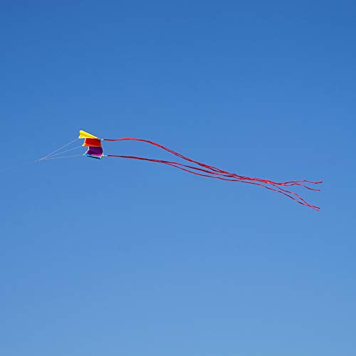Besra Colorful Parafoil Kite – Easy to Fly with Long Tail for Adults