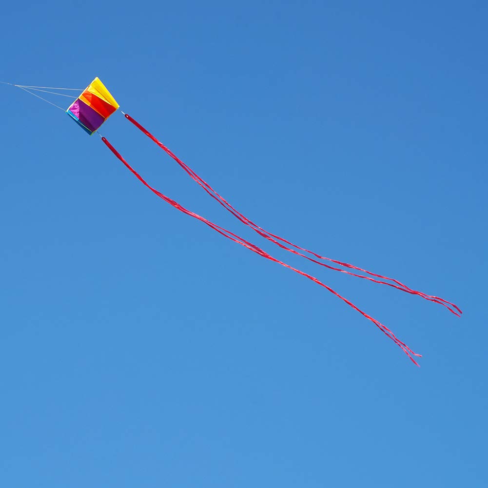 Besra Colorful Parafoil Kite – Easy to Fly with Long Tail for Adults