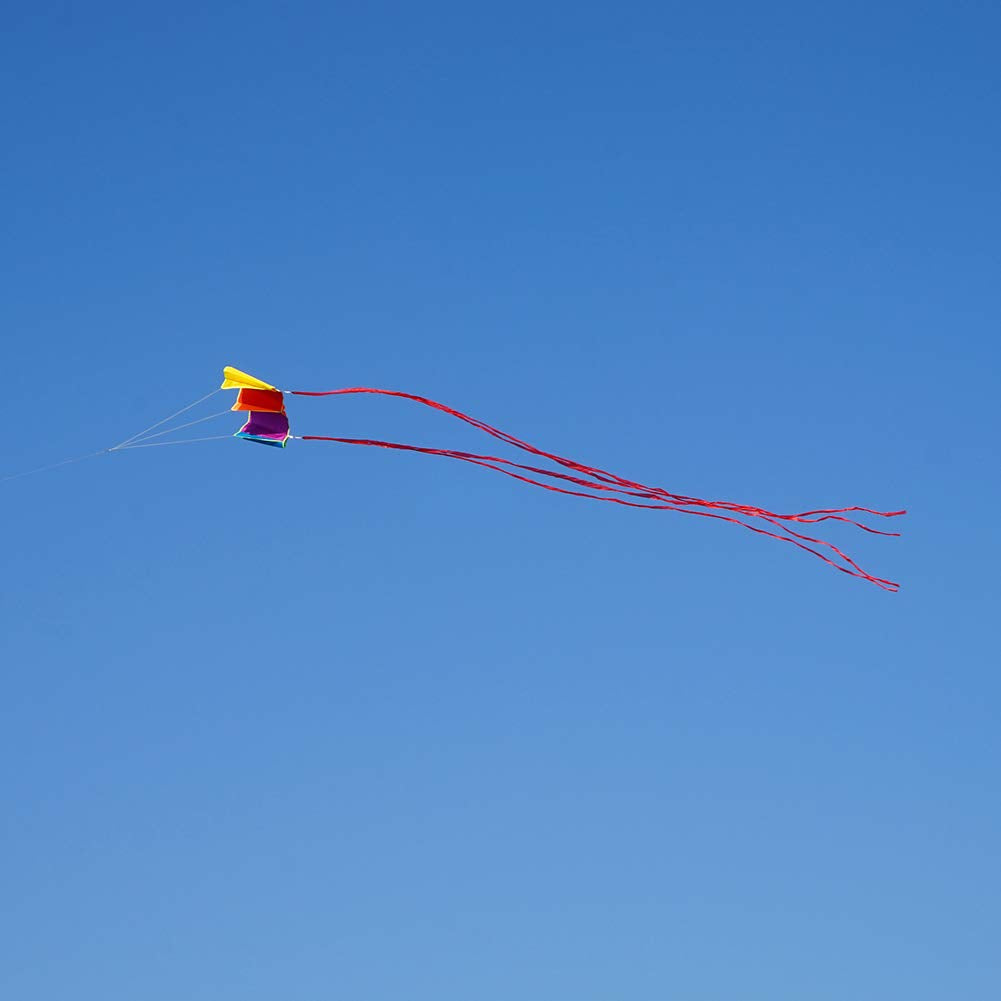 Besra Colorful Parafoil Kite – Easy to Fly with Long Tail for Adults