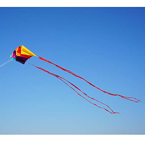 Besra Colorful Parafoil Kite – Easy to Fly with Long Tail for Adults