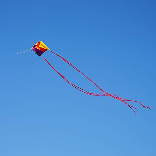 Besra Colorful Parafoil Kite – Easy to Fly with Long Tail for Adults