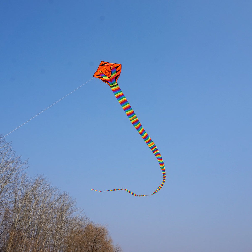 Besra Large Cobra Snake Kite – 52ft Colorful Nylon Kite with Long Tails for Outdoor Play