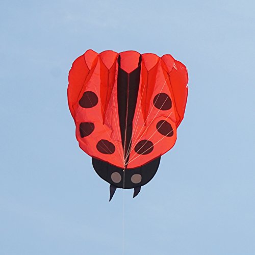 Besra Red Ladybug Kite - 55x67 Inch Parafoil with Handle and Line, Easy to Fly Outdoor Toy