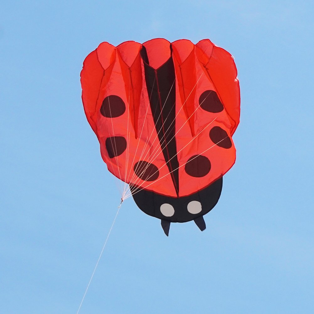 Besra Red Ladybug Kite - 55x67 Inch Parafoil with Handle and Line, Easy to Fly Outdoor Toy