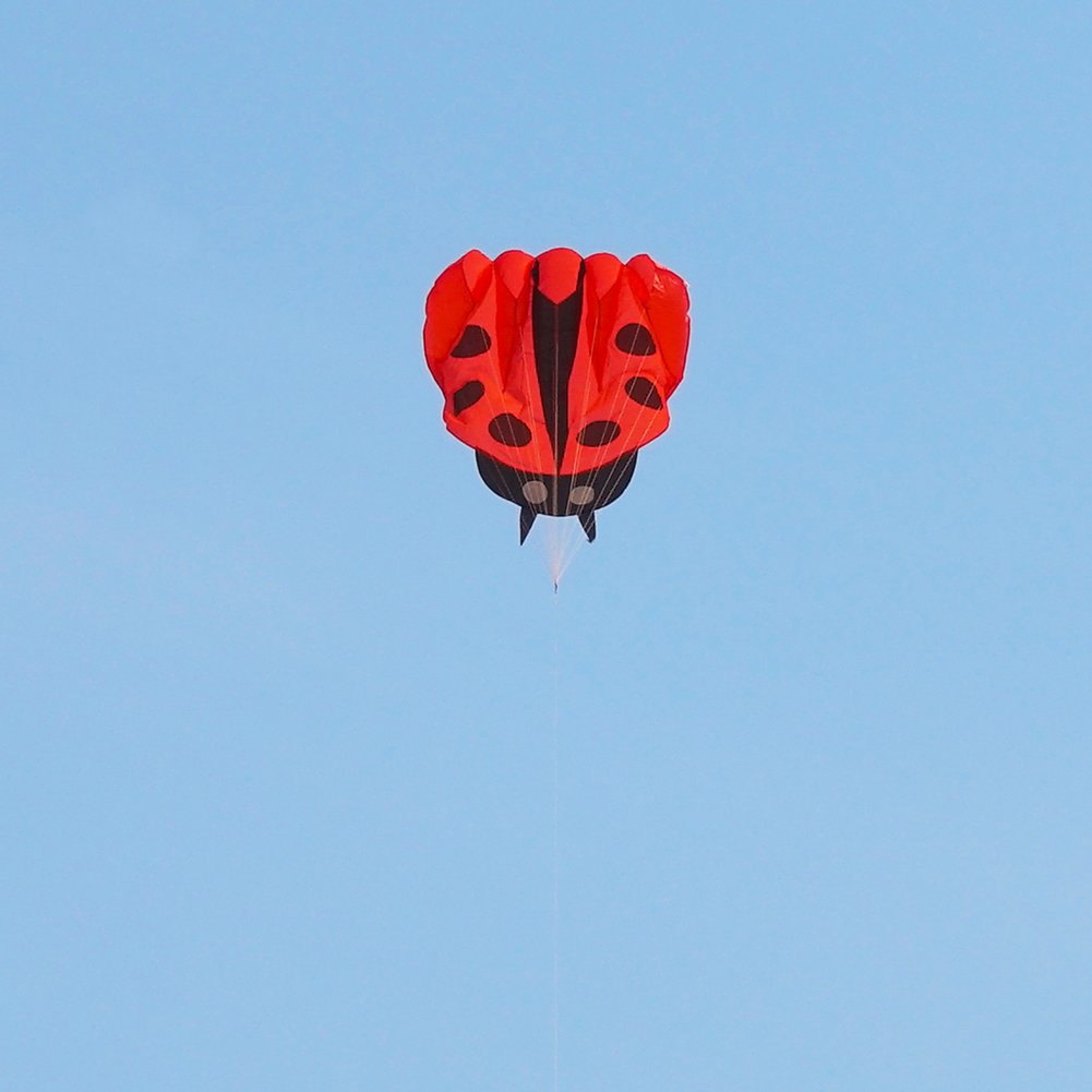 Besra Red Ladybug Kite - 55x67 Inch Parafoil with Handle and Line, Easy to Fly Outdoor Toy