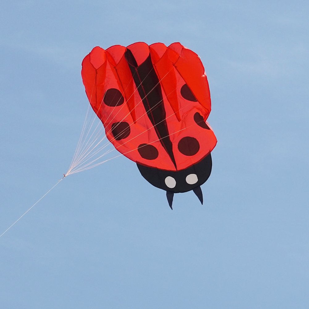 Besra Red Ladybug Kite - 55x67 Inch Parafoil with Handle and Line, Easy to Fly Outdoor Toy