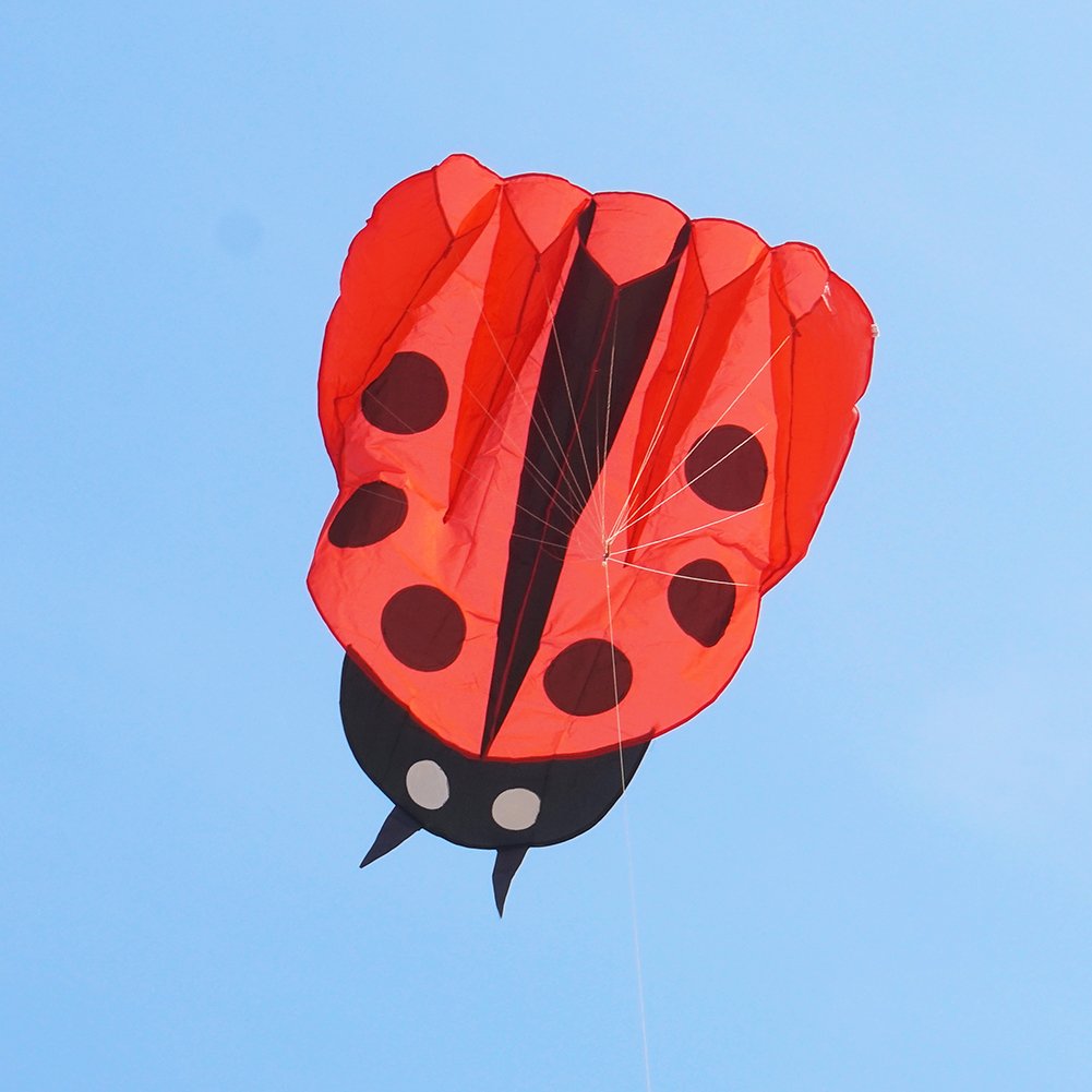 Besra Red Ladybug Kite - 55x67 Inch Parafoil with Handle and Line, Easy to Fly Outdoor Toy