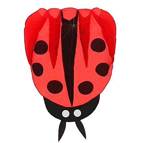 Besra Red Ladybug Kite - 55x67 Inch Parafoil with Handle and Line, Easy to Fly Outdoor Toy