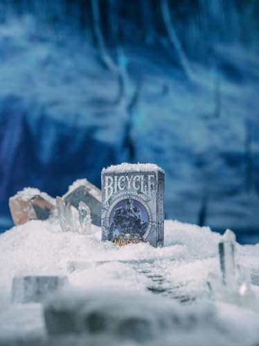 Bicycle Premium Special Edition Playing Cards – World of Warcraft: Wrath of the Lich King