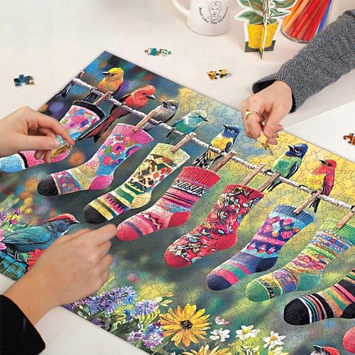 Bimkole Birds and Socks 1000 Piece Jigsaw Puzzle – 31.5 x 16.14 Inch Finished Size, High-Quality Cardboard, Fun Family Activity & Wall Decor