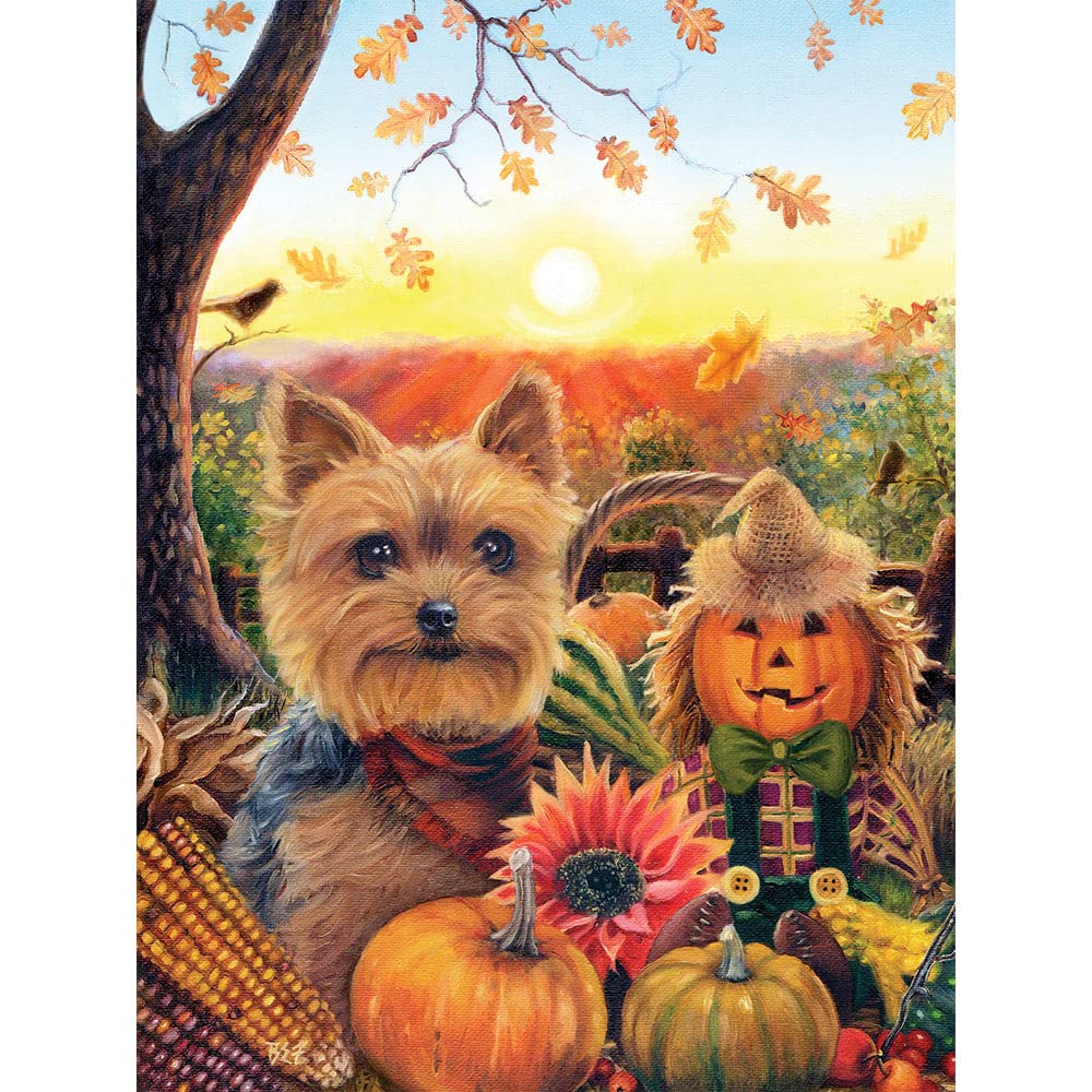 Bits and Pieces 500-Piece Jigsaw Puzzle – Pumpkin Sunrise Yorkie by Brooke Faulder