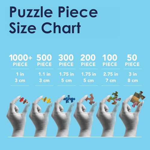 Bits and Pieces 'What's The Password' 300 Piece Jigsaw Puzzle by Larry Jones – 18" x 24" Finished Size