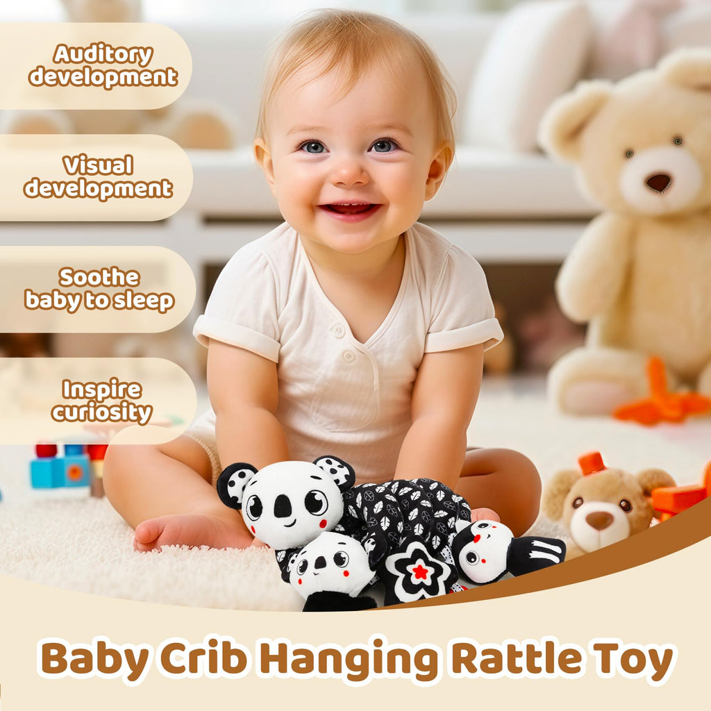 Black and White High Contrast Baby Toy Set for Car Seat, Stroller & Crib – Visual Stimulation and Sorting Play for Newborns up to 12 Months