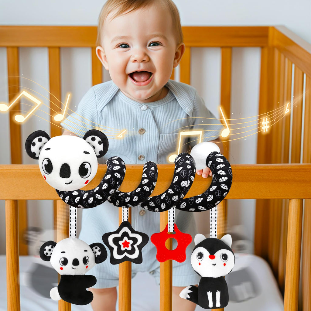 Black and White High Contrast Baby Toy Set for Car Seat, Stroller & Crib – Visual Stimulation and Sorting Play for Newborns up to 12 Months