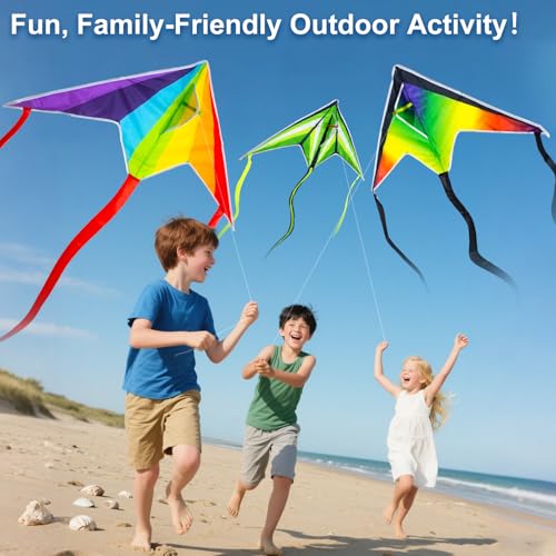 Bloolilies 3-Pack Delta Kites – Rainbow, 39.5 x 19.7 Inch, 328ft Line, Easy to Fly for Kids and Adults