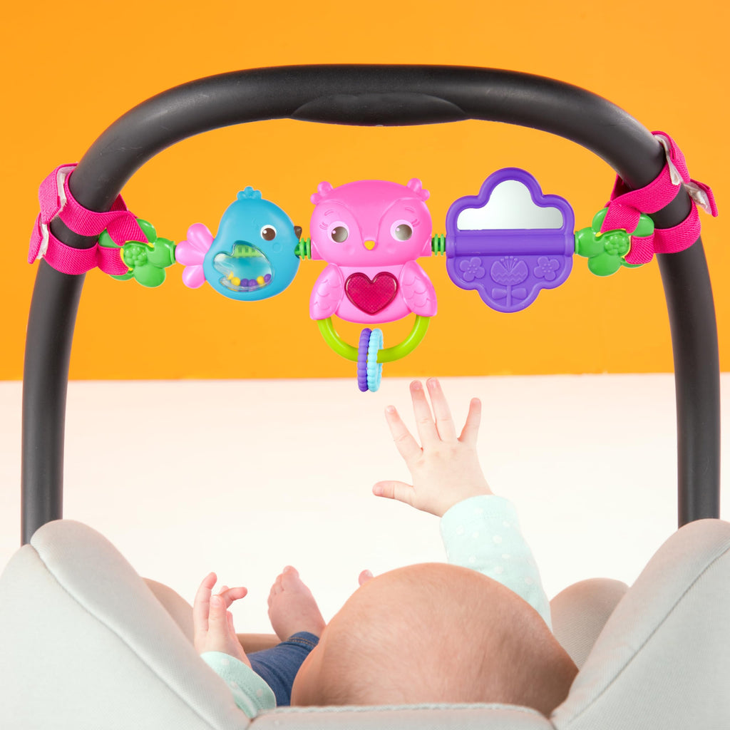 Bright Starts Busy Birdies Carrier Toy Bar - Musical Lights & Activities for Newborns+