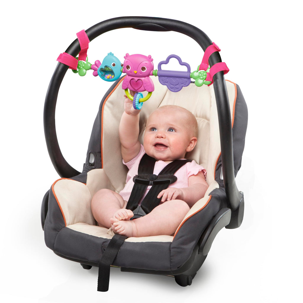 Bright Starts Busy Birdies Carrier Toy Bar - Musical Lights & Activities for Newborns+