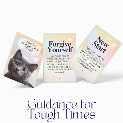 CATCHYOURDREAMS Cats for Comfort Affirmation Cards – 52 Inspirational Activities for Stress Relief & Grief Healing
