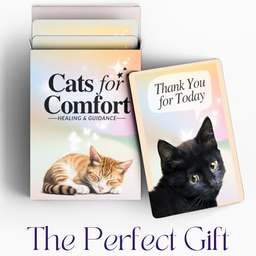 CATCHYOURDREAMS Cats for Comfort Affirmation Cards – 52 Inspirational Activities for Stress Relief & Grief Healing