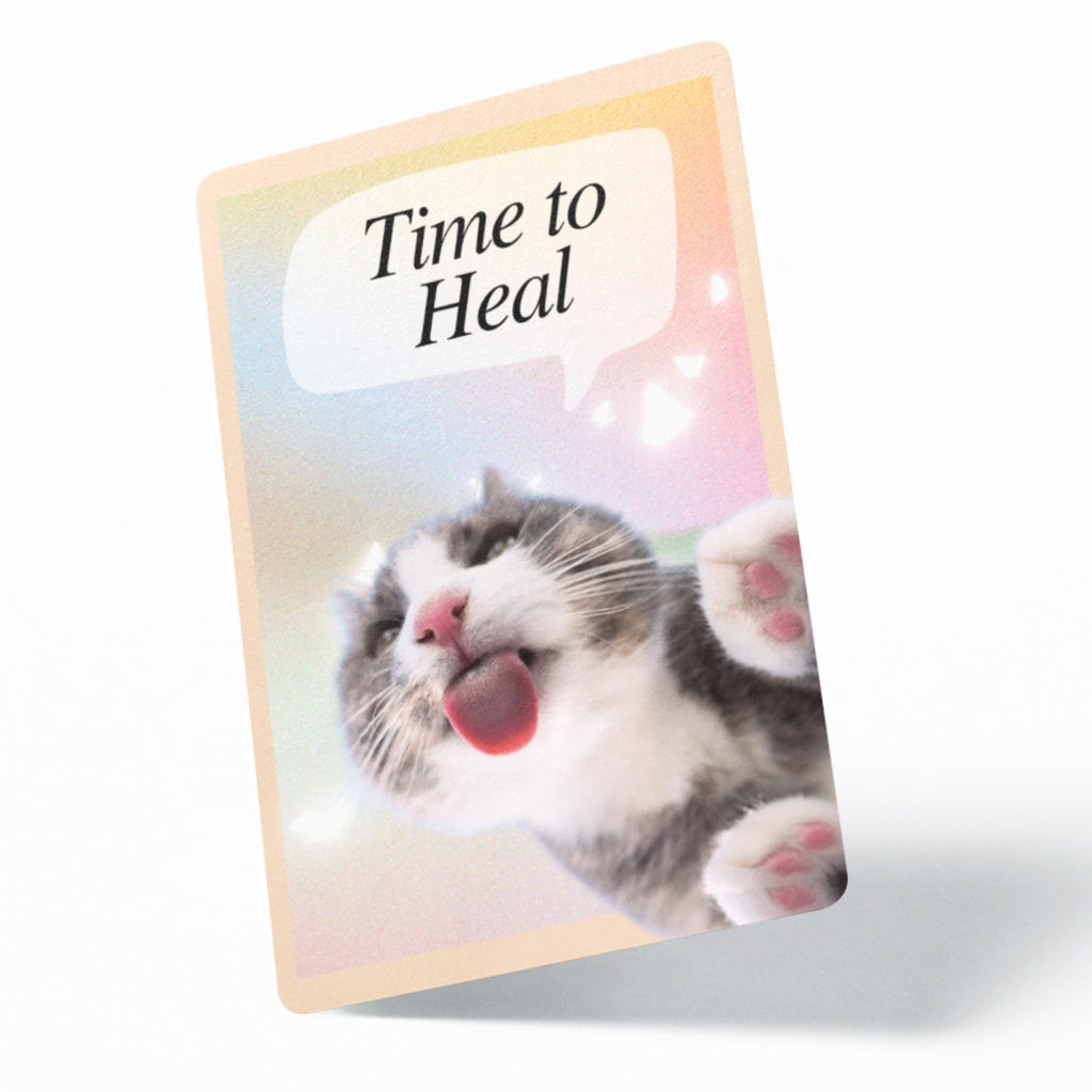 CATCHYOURDREAMS Cats for Comfort Affirmation Cards – 52 Inspirational Activities for Stress Relief & Grief Healing