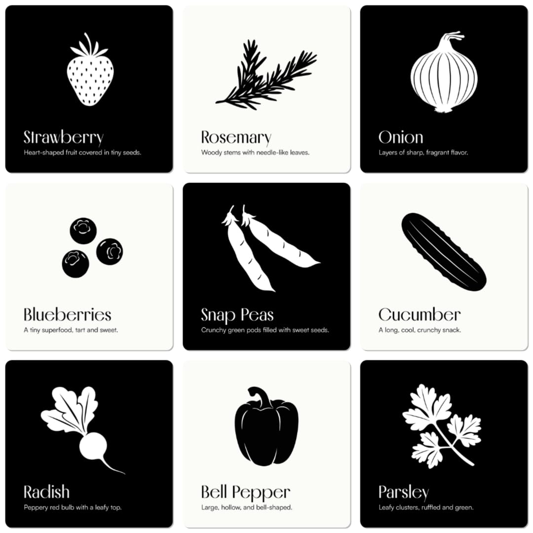 Chunky Deli Garden for Baby High Contrast Cards – 10 Laminated Black & White Sensory Cards for Newborn Vision and Tummy Time