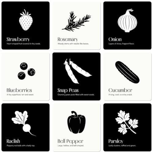 Chunky Deli Garden for Baby High Contrast Cards – 10 Laminated Black & White Sensory Cards for Newborn Vision and Tummy Time