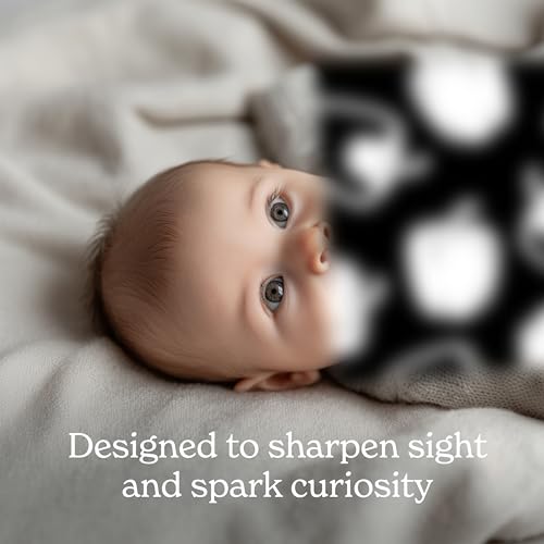 Chunky Deli Garden for Baby High Contrast Cards – 10 Laminated Black & White Sensory Cards for Newborn Vision and Tummy Time