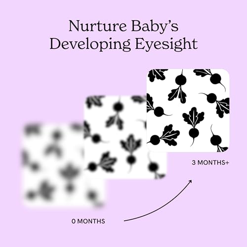 Chunky Deli Garden for Baby High Contrast Cards – 10 Laminated Black & White Sensory Cards for Newborn Vision and Tummy Time