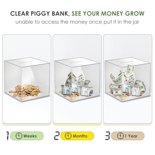Clear Acrylic Piggy Bank for Adults - Must Break to Open, 1.4L Capacity (12x12 cm)