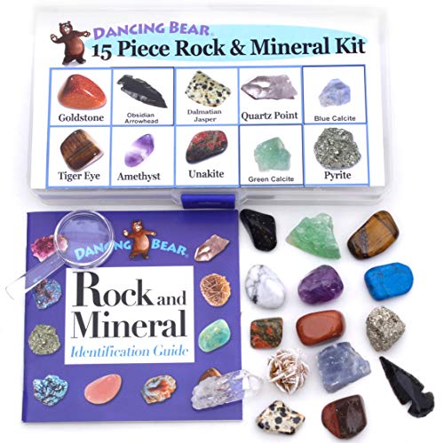 DANCING BEAR Rock and Mineral Collection – 15 Specimens with Display Box, ID Sheet, and Magnifying Glass