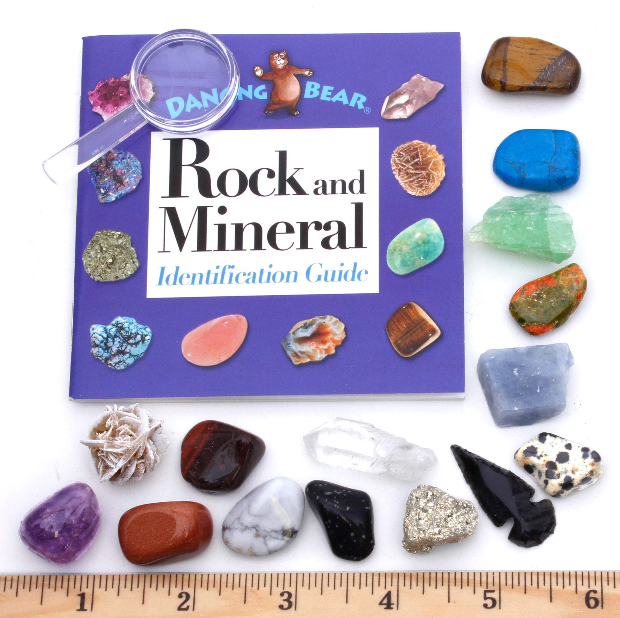 DANCING BEAR Rock and Mineral Collection – 15 Specimens with Display Box, ID Sheet, and Magnifying Glass