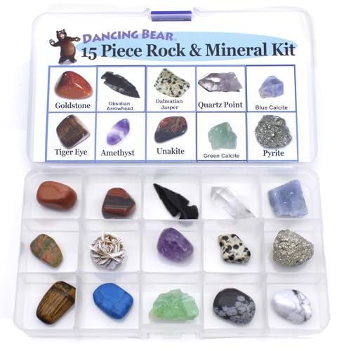DANCING BEAR Rock and Mineral Collection – 15 Specimens with Display Box, ID Sheet, and Magnifying Glass