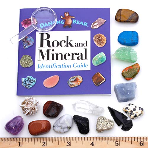 DANCING BEAR Rock and Mineral Collection – 15 Specimens with Display Box, ID Sheet, and Magnifying Glass