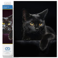 DIAMOND DOTZ Midnight Cat Diamond Art Kit – Partial Drill Round Dotz, 14x11 Inch Canvas for Adults