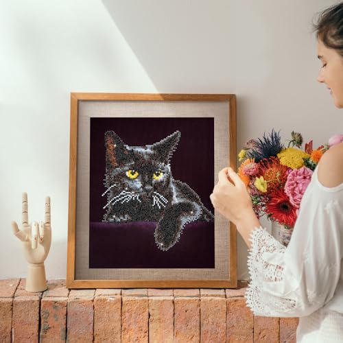 DIAMOND DOTZ Midnight Cat Diamond Art Kit – Partial Drill Round Dotz, 14x11 Inch Canvas for Adults