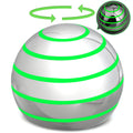 Dilabnba Kinetic Spinner Toy – Silent Optical Illusion Metal Desk Gyro Ball with Travel Case (1.5" Silvery)
