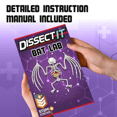 Dissect It Bat Dissection Kit: Synthetic STEM Anatomy Toy for Kids Ages 6+