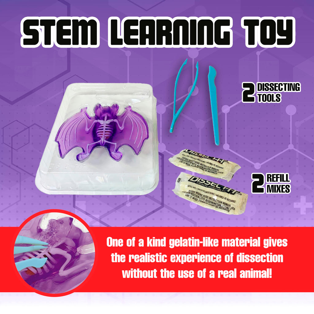 Dissect It Bat Dissection Kit: Synthetic STEM Anatomy Toy for Kids Ages 6+