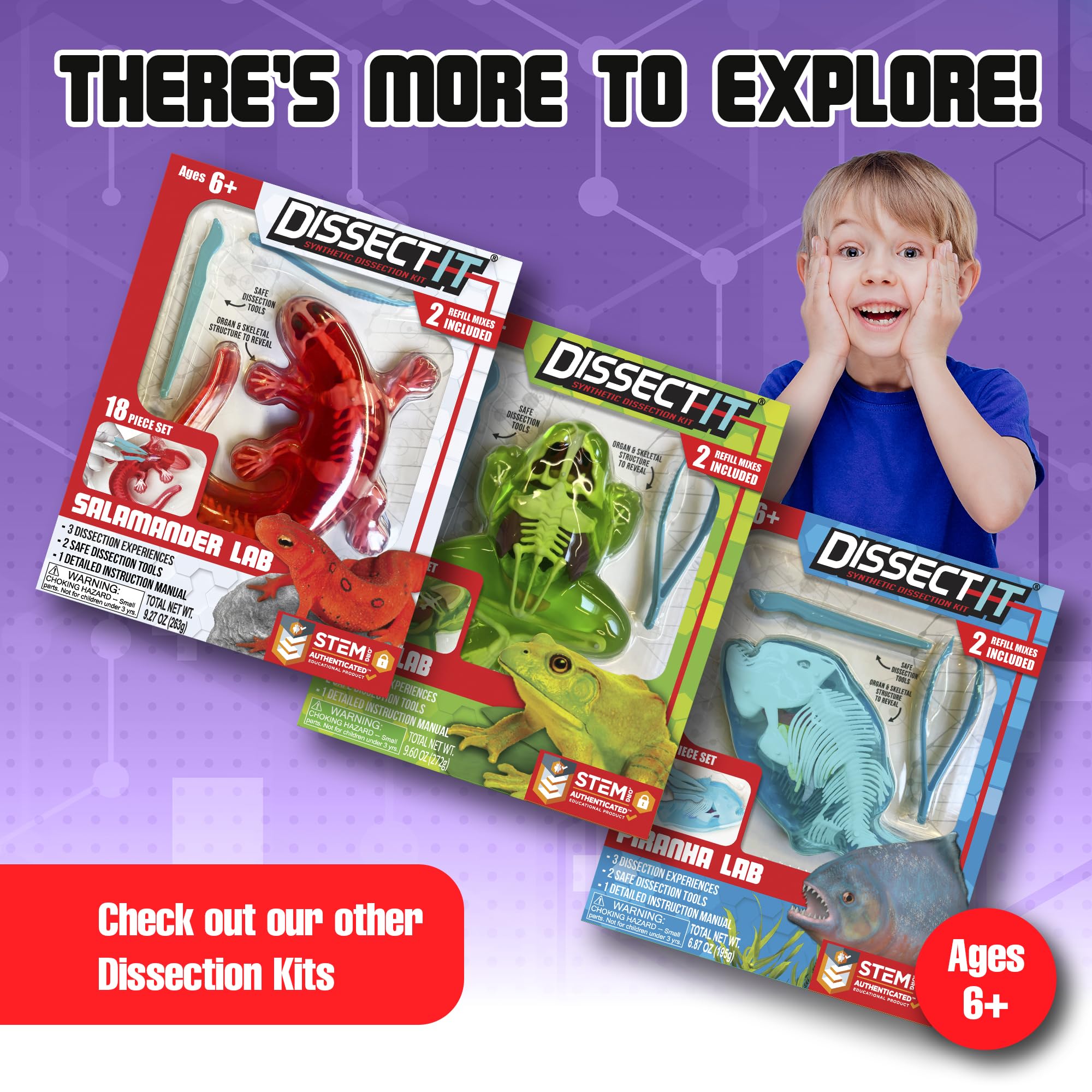 Dissect It Bat Dissection Kit: Synthetic STEM Anatomy Toy for Kids Ages 6+