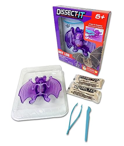 Dissect It Bat Dissection Kit: Synthetic STEM Anatomy Toy for Kids Ages 6+