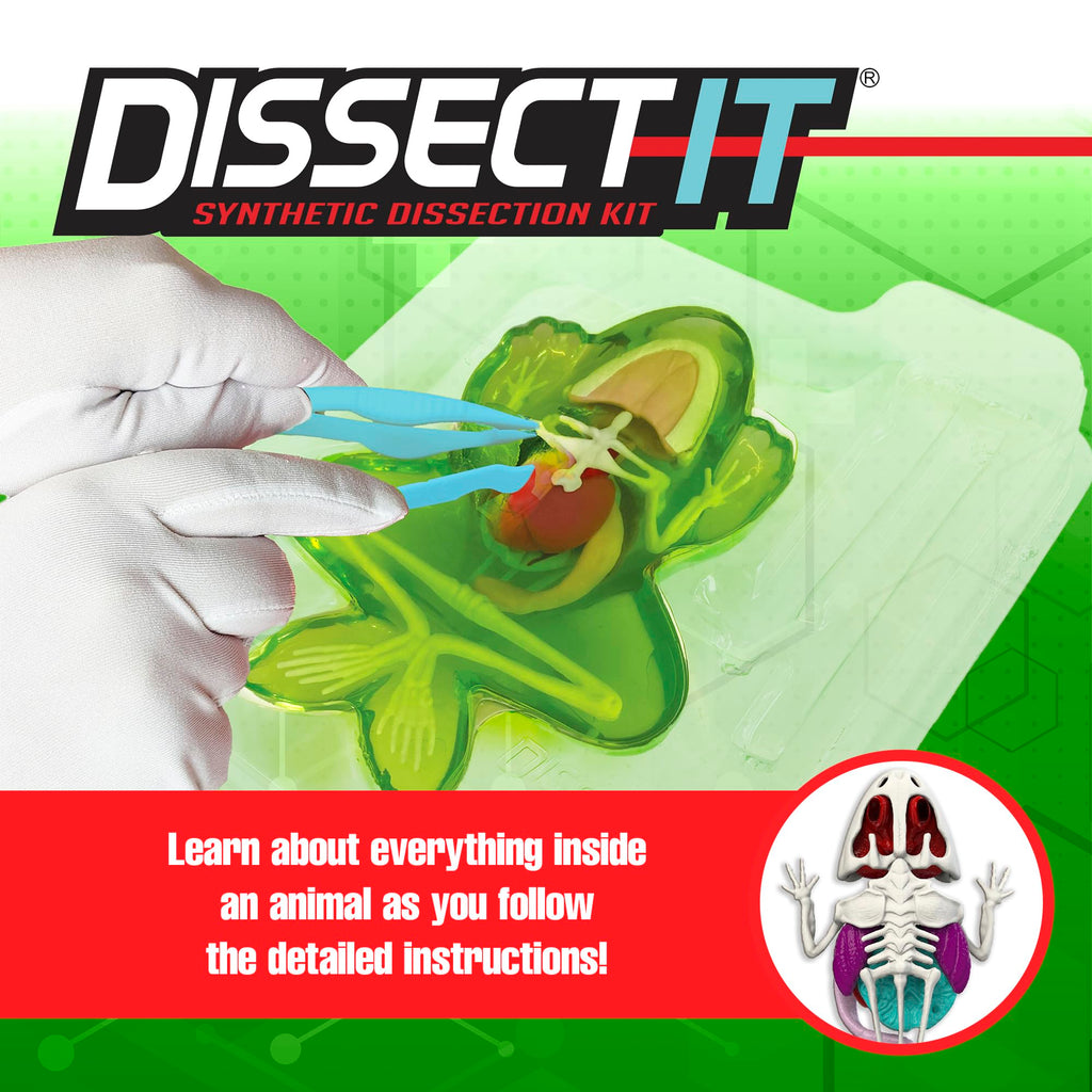 Dissect It Synthetic Frog Dissection Kit for Kids - STEM Anatomy Learning Toy Ages 6+
